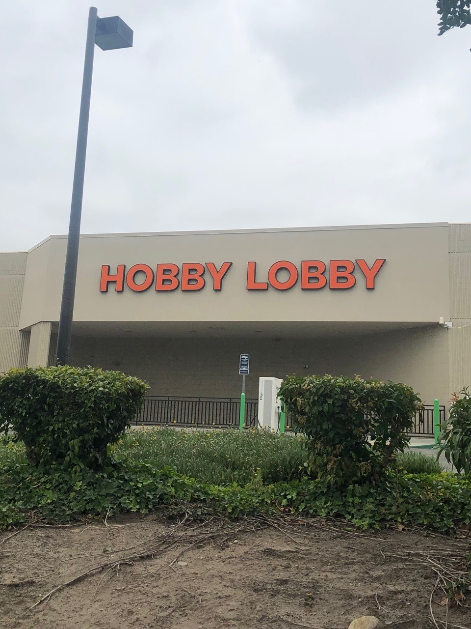 What Are Your Payment Options at Hobby Lobby?