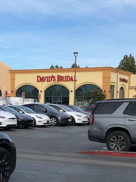 davids bridal rental